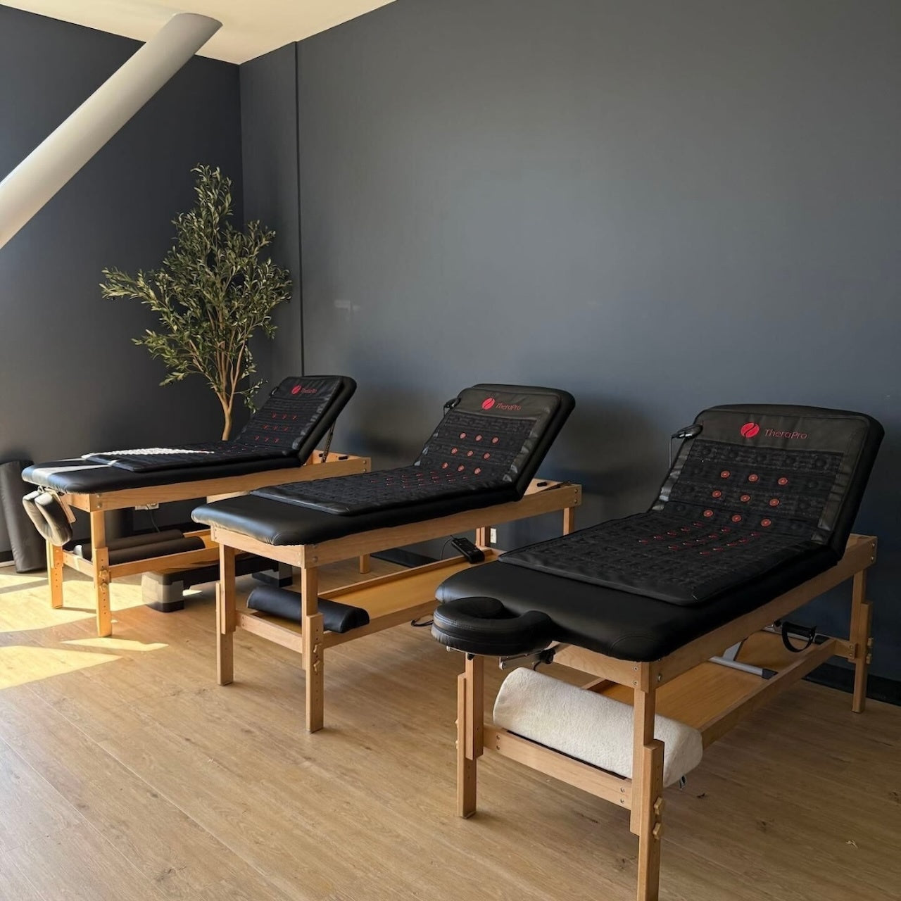 Wellness Discovery
