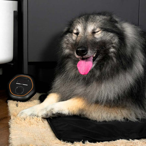 CELLER8 Large Pet Package