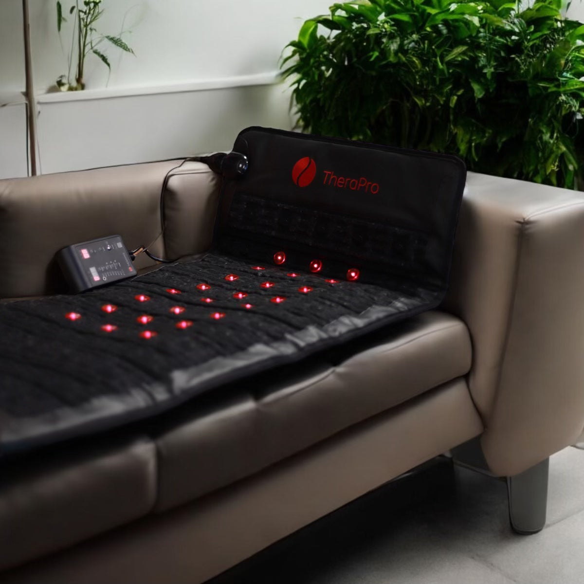 Wellness Discovery